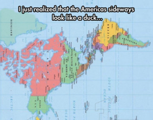 sja America sideways looks like a duck 140908 1509695_276960175794812_34656293_n