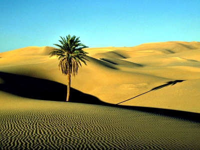 sahara